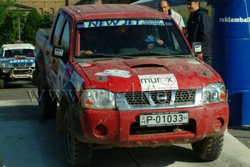 terep_r-113.jpg