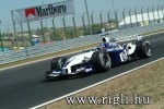 f1-sz-207.jpg