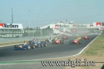 f1-sz-263.jpg