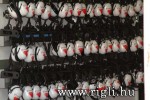 f1sz-cs-142.jpg