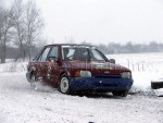 dabas-011.jpg