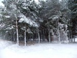 dabas-027.jpg