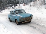 dabas-034.jpg