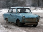 dabas-075.jpg