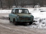dabas-078.jpg