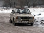 dabas-081.jpg
