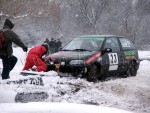 dabas-100.jpg