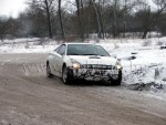 dabas-175.jpg