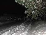 dabas-228.jpg