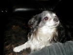 pic00010.jpg
