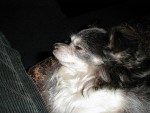 pic00012.jpg