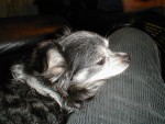 pic00023.jpg