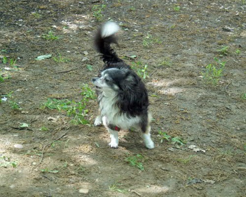 im0000201_2.jpg