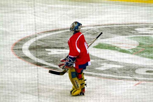 hoki_003.jpg