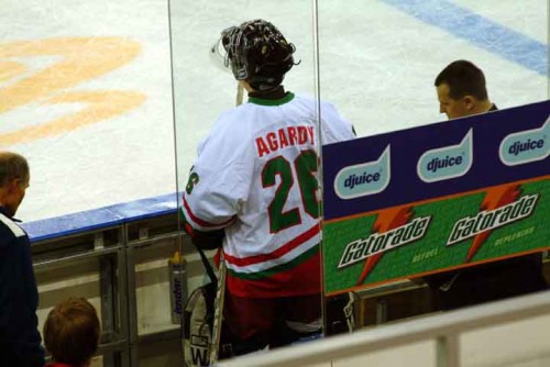 hoki_011.jpg