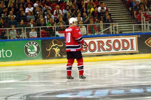 hoki_064.jpg