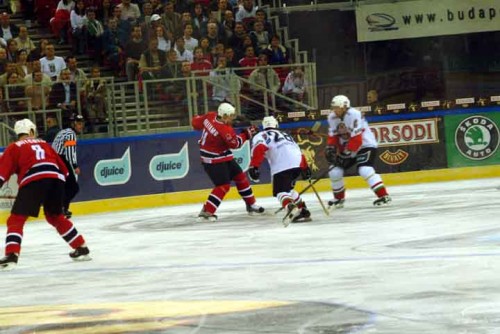 hoki_082.jpg