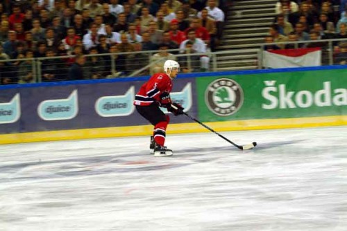 hoki_091.jpg