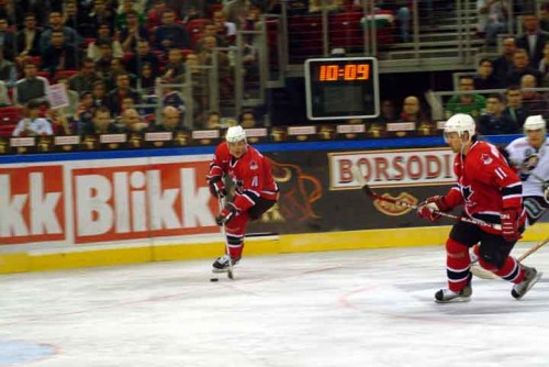 hoki_101.jpg