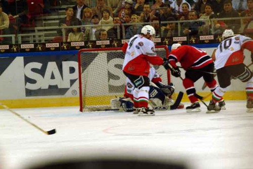 hoki_109.jpg