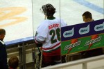hoki_011.jpg