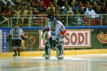 hoki_019.jpg