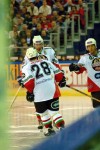 hoki_030.jpg