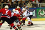 hoki_098.jpg