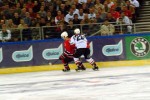 hoki_100.jpg