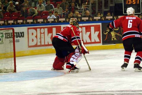 hoki_113.jpg