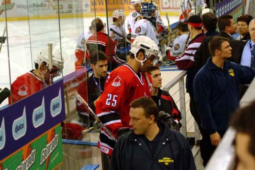hoki_127.jpg