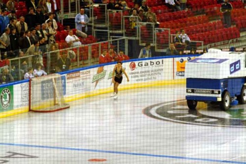 hoki_137.jpg