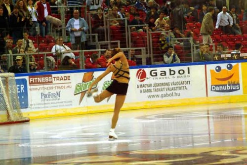 hoki_139.jpg