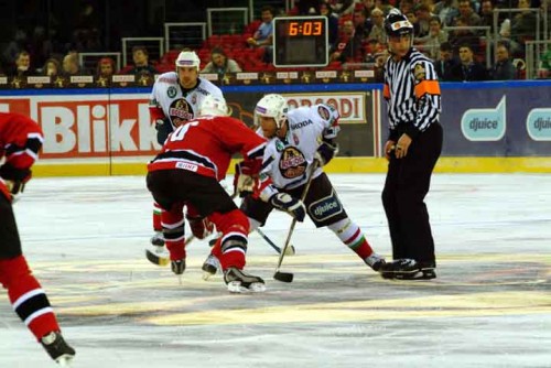 hoki_179.jpg