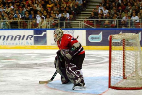 hoki_199.jpg