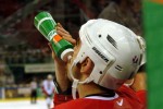 hoki_116.jpg