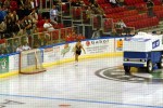 hoki_137.jpg