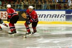 hoki_166.jpg