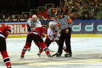 hoki_178.jpg