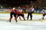 hoki_198.jpg