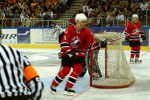 hoki_204.jpg