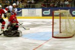 hoki_206.jpg