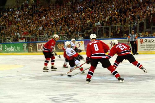 hoki_221.jpg