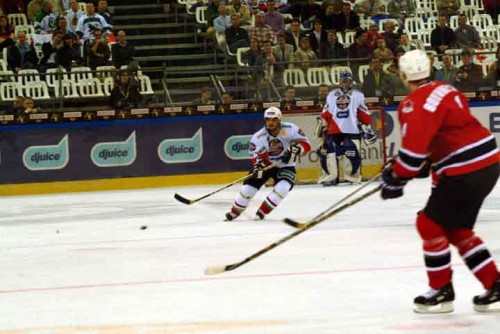 hoki_227.jpg