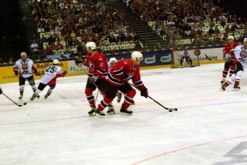 hoki_231.jpg