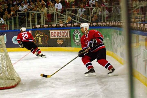 hoki_233.jpg
