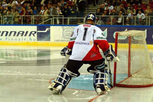 hoki_247.jpg