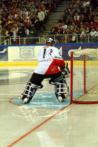 hoki_248.jpg