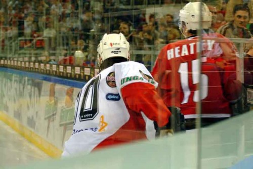 hoki_259.jpg