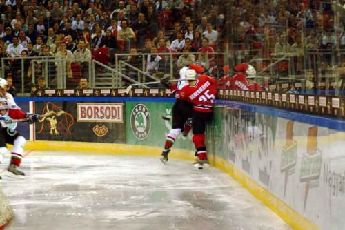 hoki_261.jpg